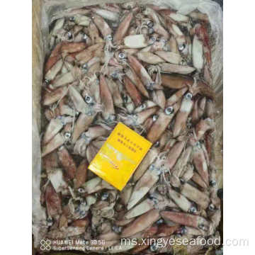 Frozen Uroteuthis Chinensis Squid Whole Round 5-8cm